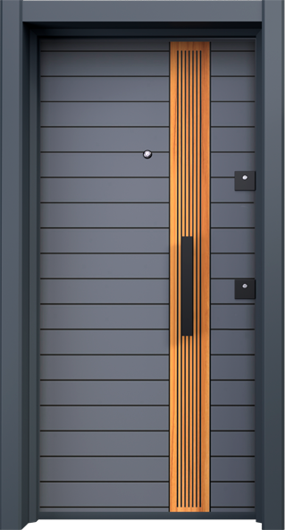 ERVA-AHŞAP Model 21